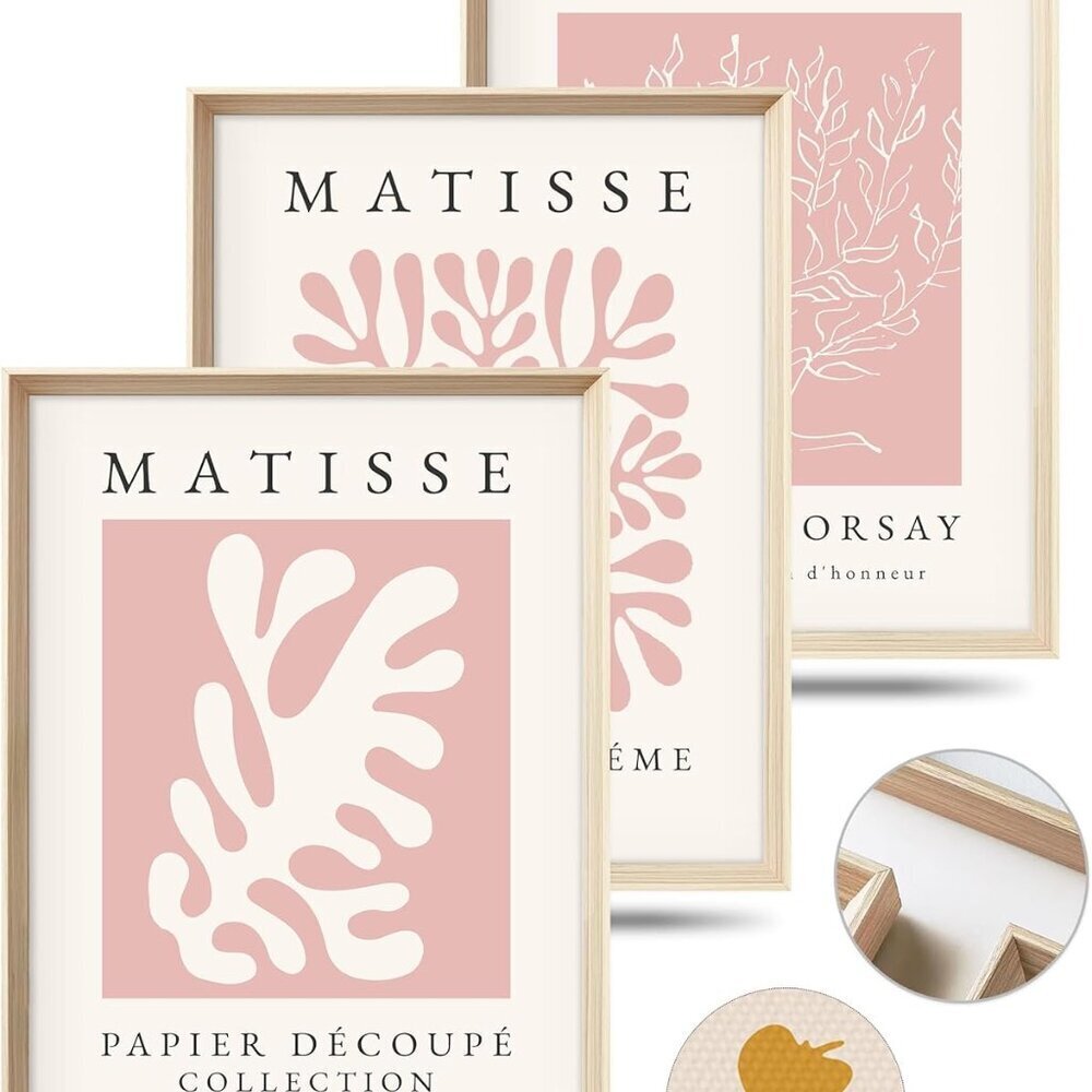 Framed Matisse Pink Canvas Wall Art,Abstract Matisse Canvas Wall Decor,16x12IN H